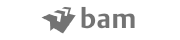 Logo-Bam2 Koninklijke bam groep